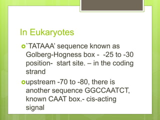 In Eukaryotes
`TATAAA’ sequence known as
Golberg-Hogness box - -25 to -30
position- start site. – in the coding
strand
upstream -70 to -80, there is
another sequence GGCCAATCT,
known CAAT box.- cis-acting
signal
 