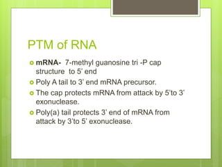 PTM of RNA
 mRNA- 7-methyl guanosine tri -P cap
structure to 5’ end
 Poly A tail to 3’ end mRNA precursor.
 The cap protects mRNA from attack by 5’to 3’
exonuclease.
 Poly(a) tail protects 3’ end of mRNA from
attack by 3’to 5’ exonuclease.
 