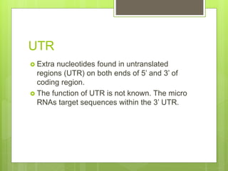 UTR
 Extra nucleotides found in untranslated
regions (UTR) on both ends of 5’ and 3’ of
coding region.
 The function of UTR is not known. The micro
RNAs target sequences within the 3’ UTR.
 