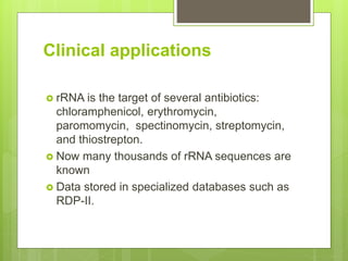 Clinical applications
 rRNA is the target of several antibiotics:
chloramphenicol, erythromycin,
paromomycin, spectinomycin, streptomycin,
and thiostrepton.
 Now many thousands of rRNA sequences are
known
 Data stored in specialized databases such as
RDP-II.
 