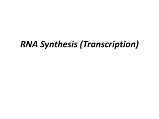 RNA Synthesis (Transcription)
 