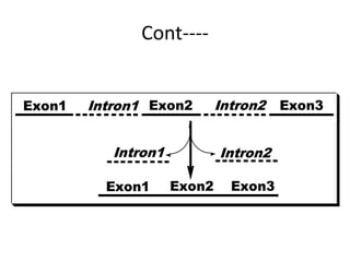 Cont----
Exon1 Exon3
Intron1 Intron2
Exon1 Exon2 Exon3
Intron1 Intron2
Exon2
 