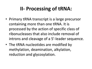 II- Processing of tRNA:
• Primary tRNA transcript is a large precursor
containing more than one tRNA. It is
processed by the action of specific class of
ribonucleases that also include removal of
introns and cleavage of a 5'-leader sequence.
• The tRNA nucleotides are modified by
methylation, deamination, alkylation,
reduction and glycosylation.
 