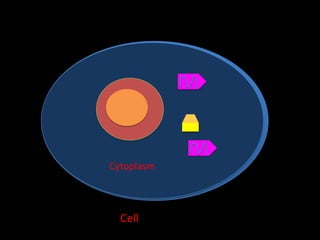 Cytoplasm

Cell

 