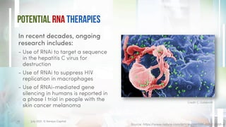 Potential RNA Therapies
In recent decades, ongoing
research includes:
- Use of RNAi to target a sequence
in the hepatitis C virus for
destruction
- Use of RNAi to suppress HIV
replication in macrophages
- Use of RNAi-mediated gene
silencing in humans is reported in
a phase I trial in people with the
skin cancer melanoma
Source: https://www.nature.com/articles/d41586-019-03068-4
Credit: C. Goldsmith
14 July 2021. © Xeraya Capital.