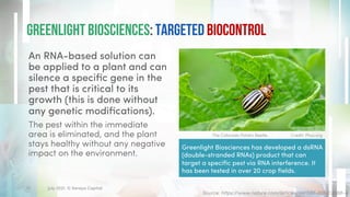 GreenLight Biosciences: Targeted Biocontrol
An RNA-based solution can
be applied to a plant and can
silence a specific gene in the
pest that is critical to its
growth (this is done without
any genetic modifications).
The pest within the immediate
area is eliminated, and the plant
stays healthy without any negative
impact on the environment.
Source: https://www.nature.com/articles/d41586-019-03068-4
The Colorado Potato Beetle. Credit: Phys.org
17 July 2021. © Xeraya Capital.
Greenlight Biosciences has developed a dsRNA
(double-stranded RNAs) product that can
target a specific pest via RNA interference. It
has been tested in over 20 crop fields.