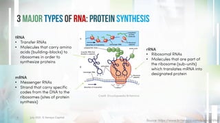 3 Major Types of RNA: Protein Synthesis
Source: https://www.britannica.com/science/RNA
4
tRNA
• Transfer RNAs
• Molecules that carry amino
acids (building-blocks) to
ribosomes in order to
synthesize proteins
mRNA
• Messenger RNAs
• Strand that carry specific
codes from the DNA to the
ribosomes (sites of protein
synthesis)
rRNA
• Ribosomal RNAs
• Molecules that are part of
the ribosome (sub-units)
which translates mRNA into
designated protein
Credit: Encyclopaedia Britannica
July 2021. © Xeraya Capital.