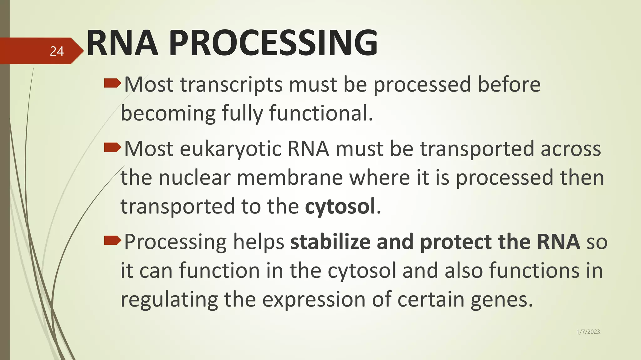 RNA TRANSCRIPTION AND PROCESSING,.pptx