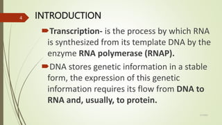 RNA TRANSCRIPTION AND PROCESSING,.pptx