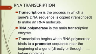 RNA TRANSCRIPTION AND PROCESSING,.pptx