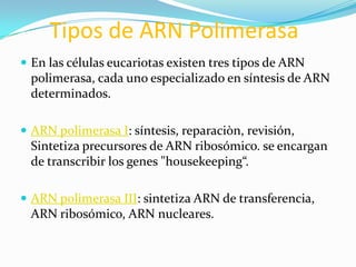 Tipos de ARN Polimerasa
 En las células eucariotas existen tres tipos de ARN
 polimerasa, cada uno especializado en síntesis de ARN
 determinados.

 ARN polimerasa I: síntesis, reparaciòn, revisión,
 Sintetiza precursores de ARN ribosómico. se encargan
 de transcribir los genes "housekeeping“.

 ARN polimerasa III: sintetiza ARN de transferencia,
 ARN ribosómico, ARN nucleares.
 