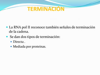 TERMINACIÓN

 La RNA pol II reconoce también señales de terminación
  de la cadena.
 Se dan dos tipos de terminación:
   Directa .
   Mediada por proteínas.
 