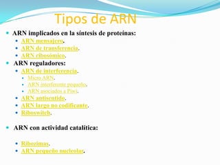 Tipos de ARN
 ARN implicados en la síntesis de proteínas:
    ARN mensajero.
    ARN de transferencia.
    ARN ribosómico.
 ARN reguladores:
    ARN de interferencia.
        Micro ARN.
        ARN interferente pequeño.
        ARN asociados a Piwi.
    ARN antisentido.
    ARN largo no codificante.
    Riboswitch.

 ARN con actividad catalítica:

    Ribozimas.
    ARN pequeño nucleolar.
 