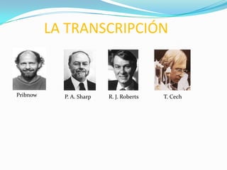 LA TRANSCRIPCIÓN



Pribnow     P. A. Sharp   R. J. Roberts   T. Cech
 