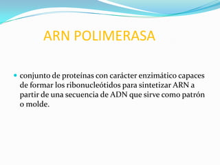ARN POLIMERASA

 conjunto de proteínas con carácter enzimático capaces
 de formar los ribonucleótidos para sintetizar ARN a
 partir de una secuencia de ADN que sirve como patrón
 o molde.
 