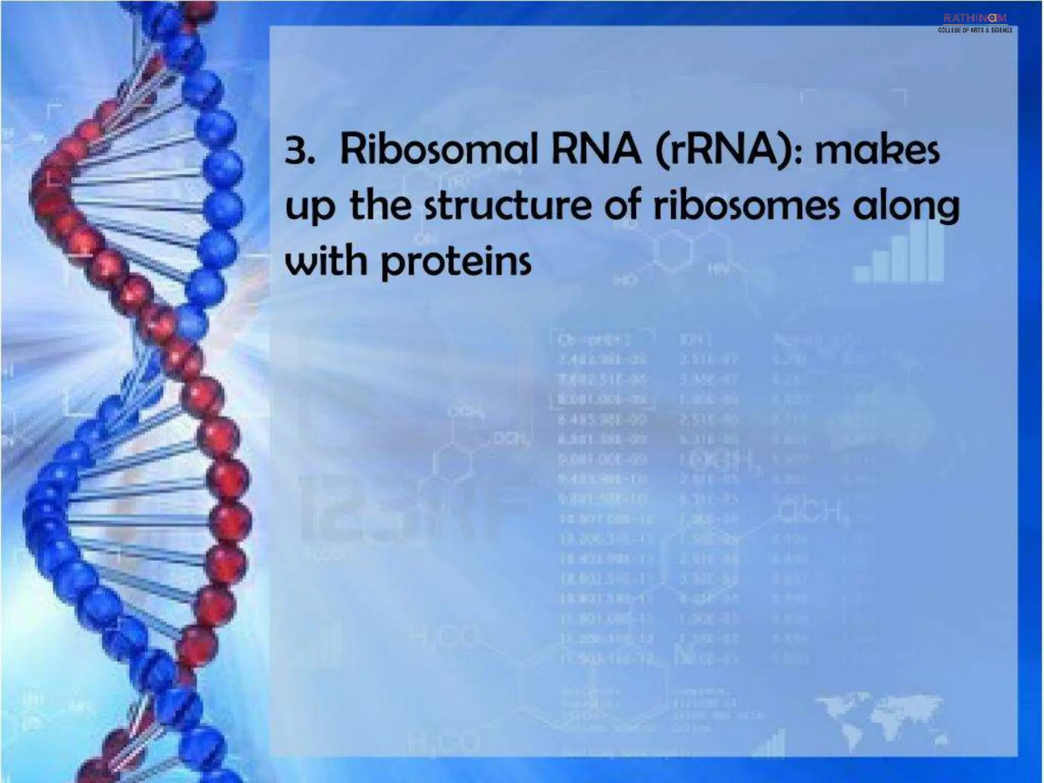 RNA Types and Functions.pptx
