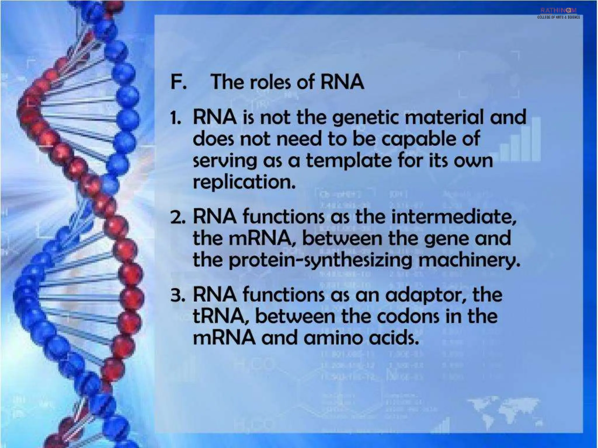 RNA Types and Functions.pptx