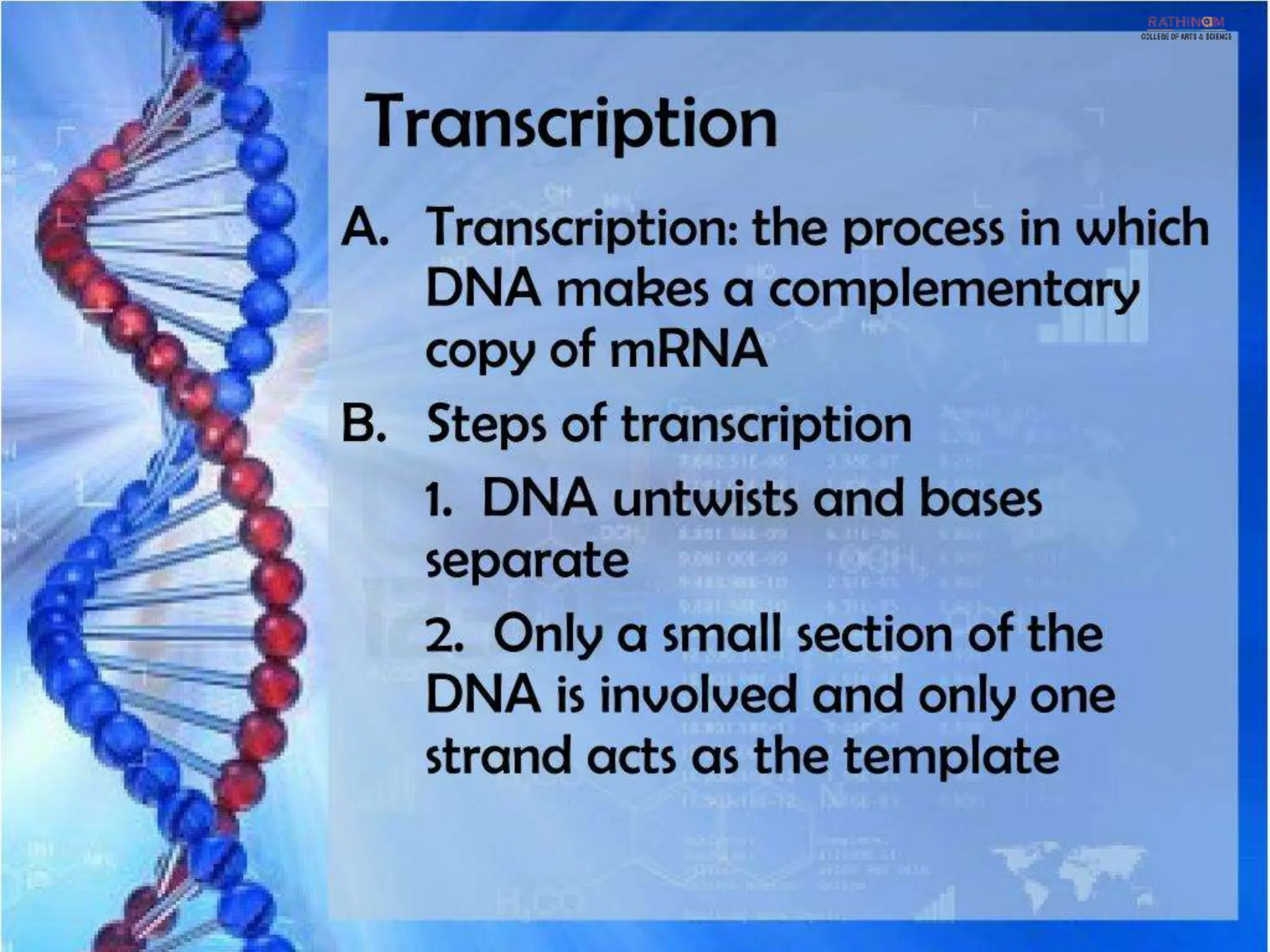 RNA Types and Functions.pptx