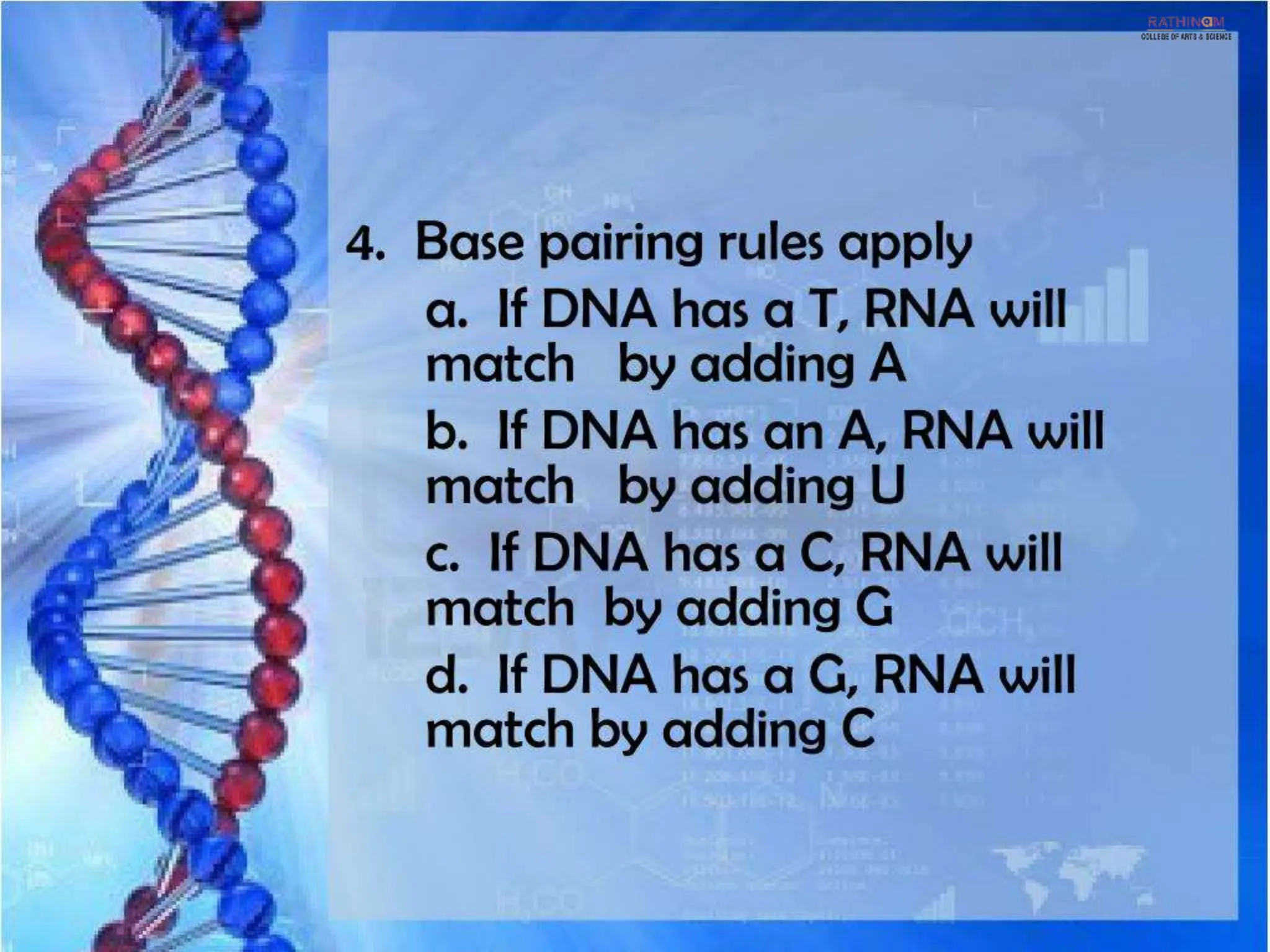 RNA Types and Functions.pptx