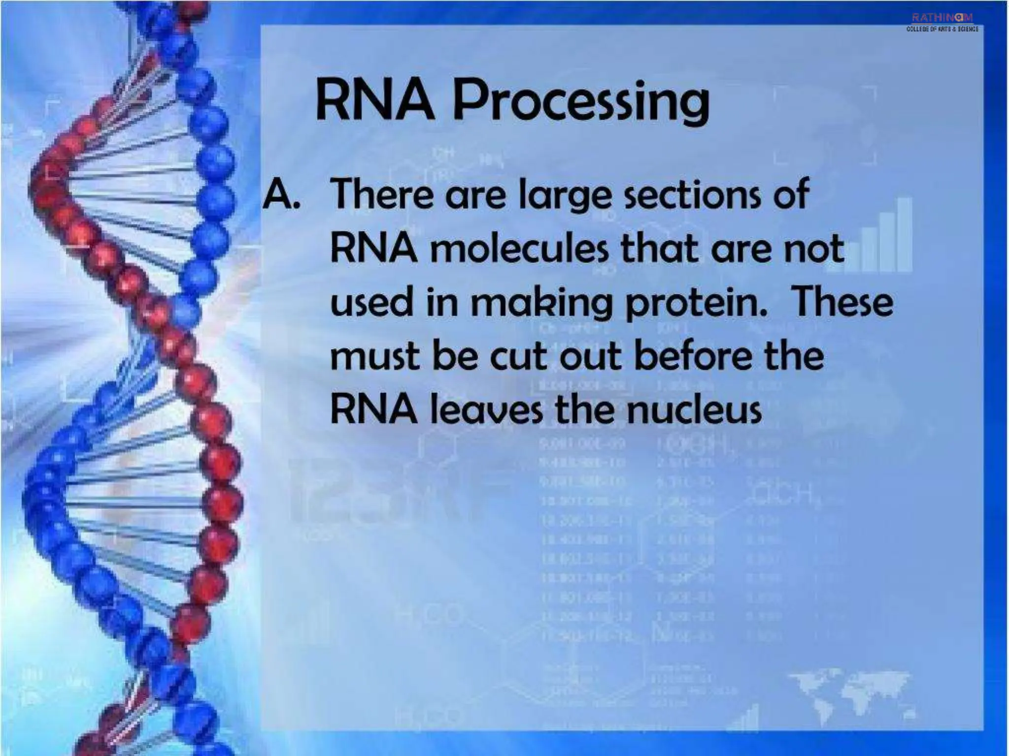 RNA Types and Functions.pptx