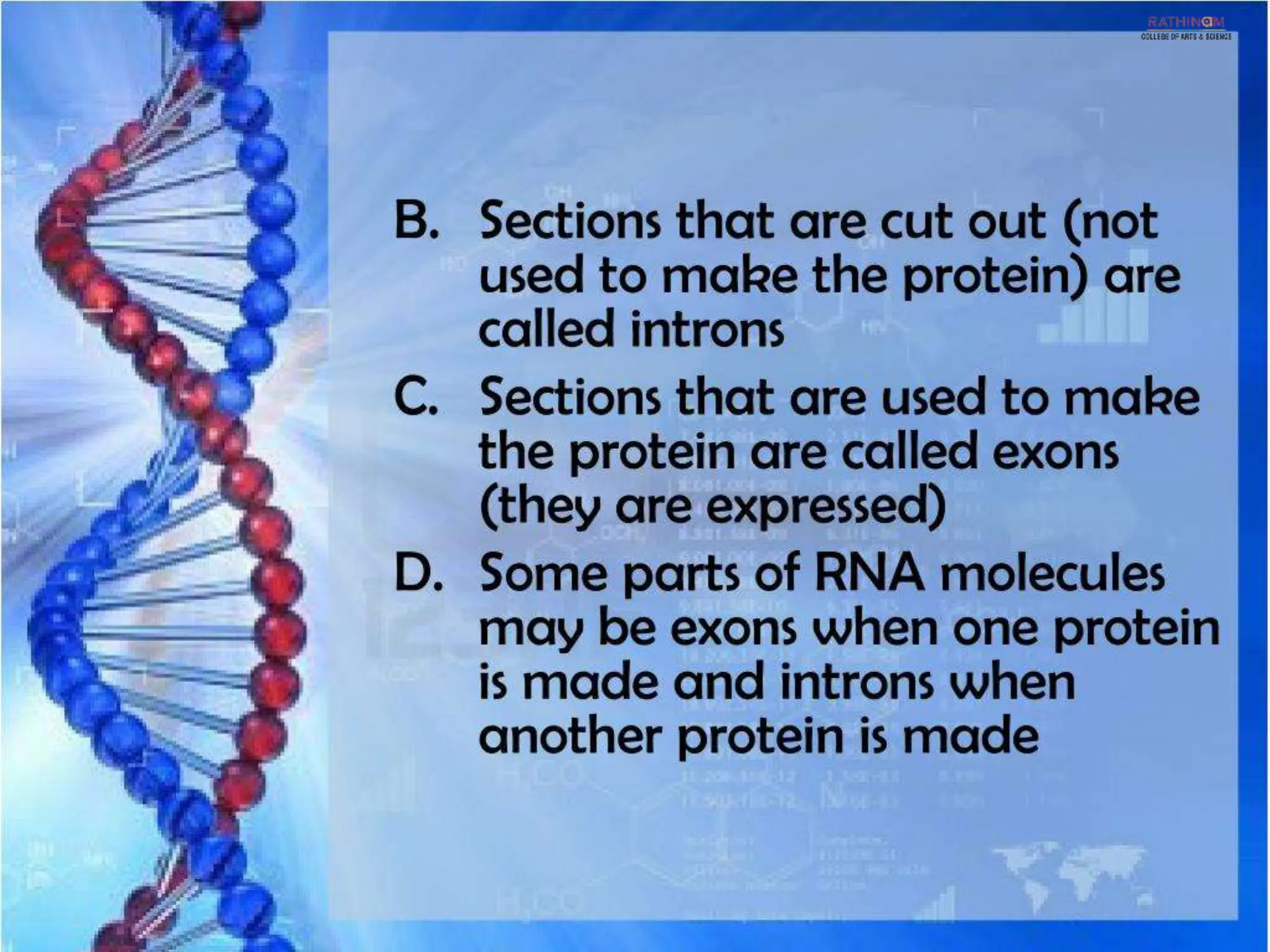 RNA Types and Functions.pptx
