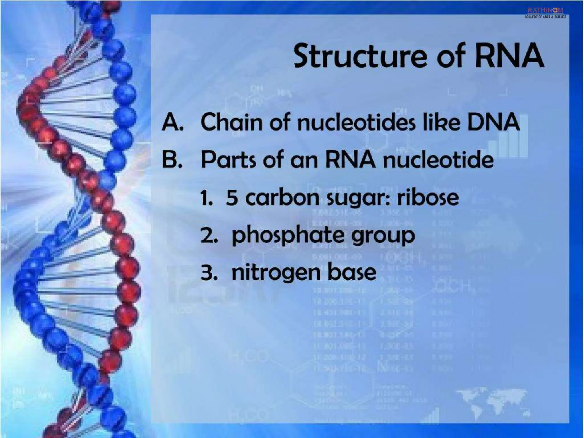 RNA Types and Functions.pptx