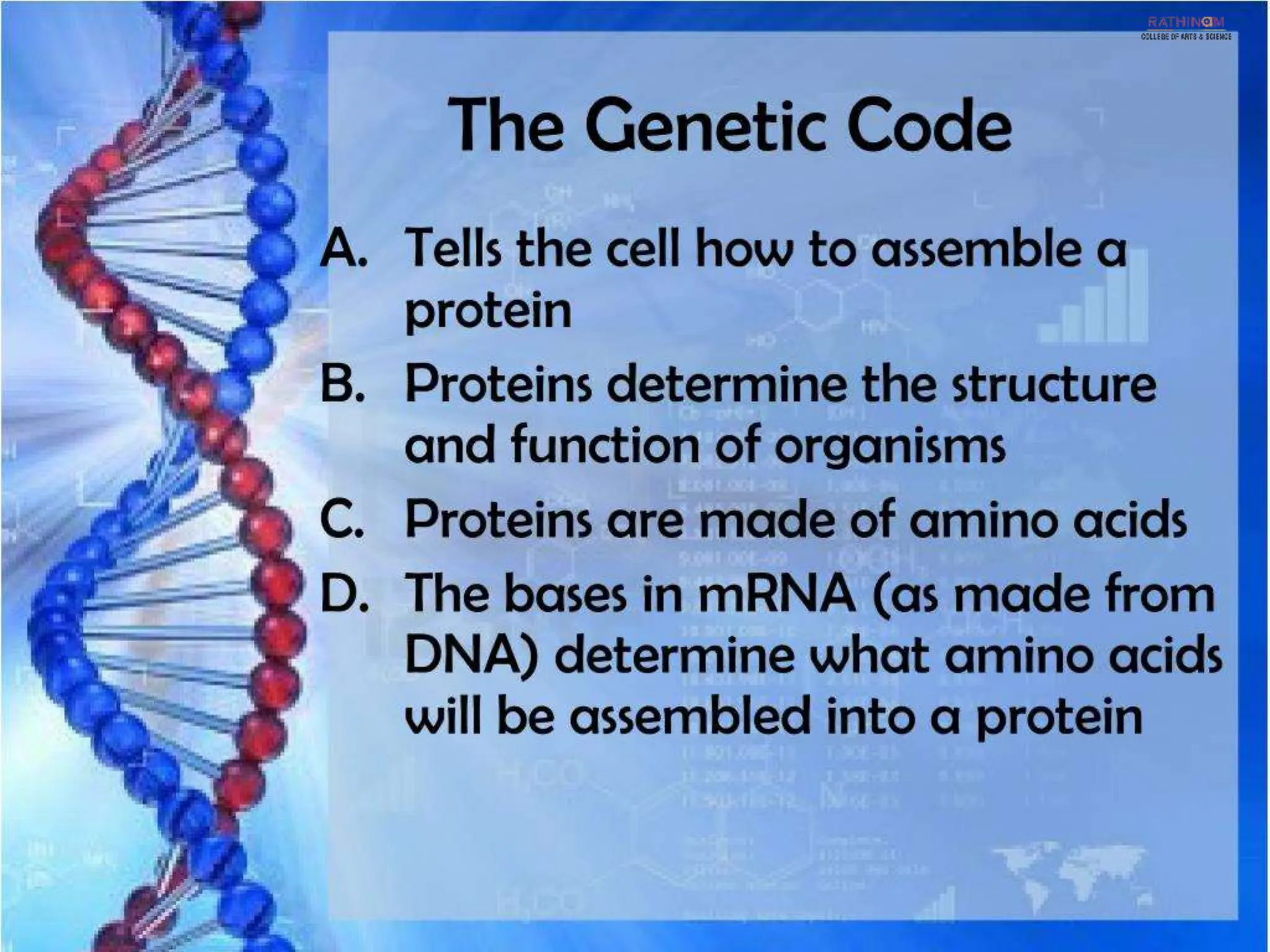 RNA Types and Functions.pptx