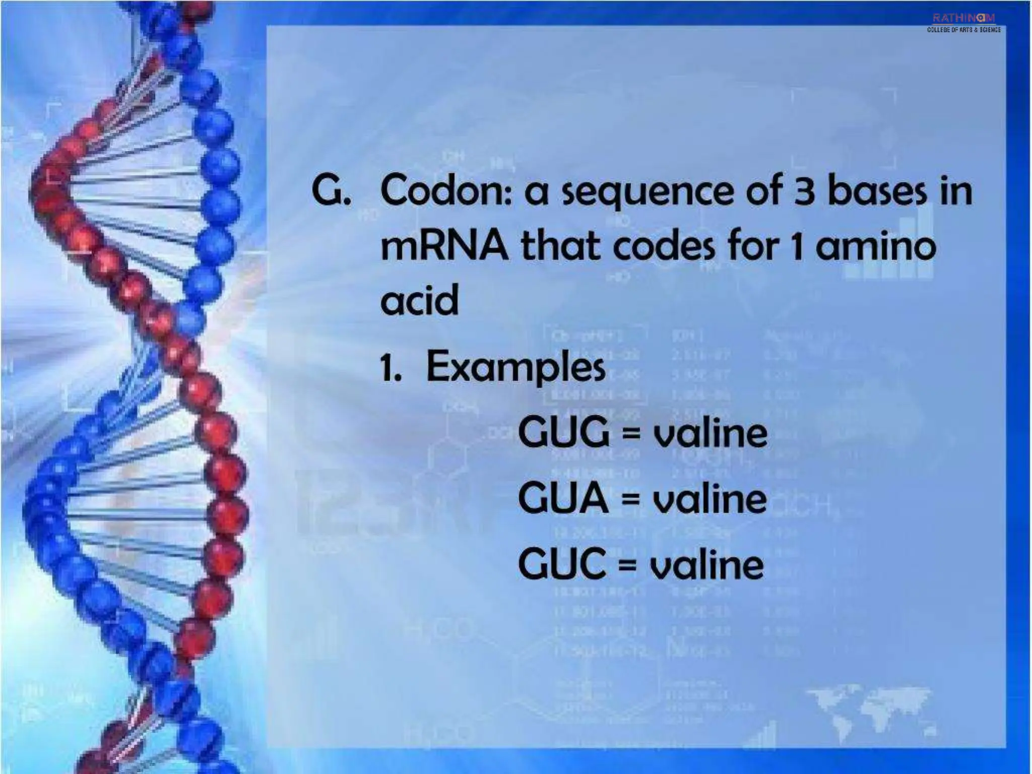 RNA Types and Functions.pptx