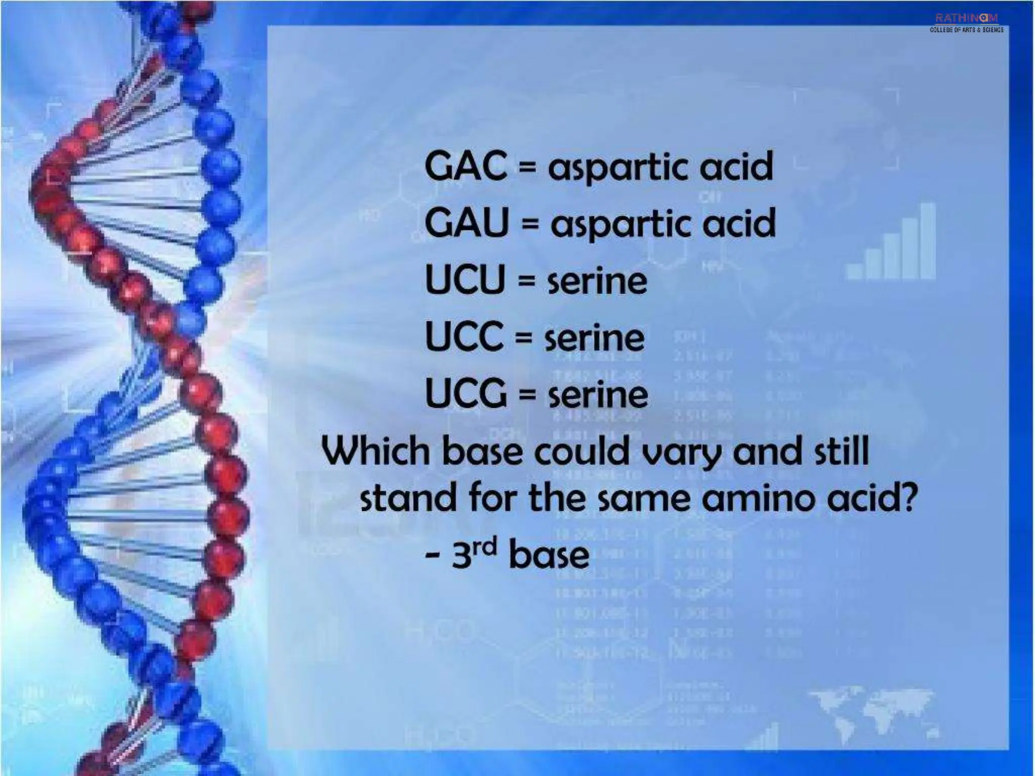 RNA Types and Functions.pptx