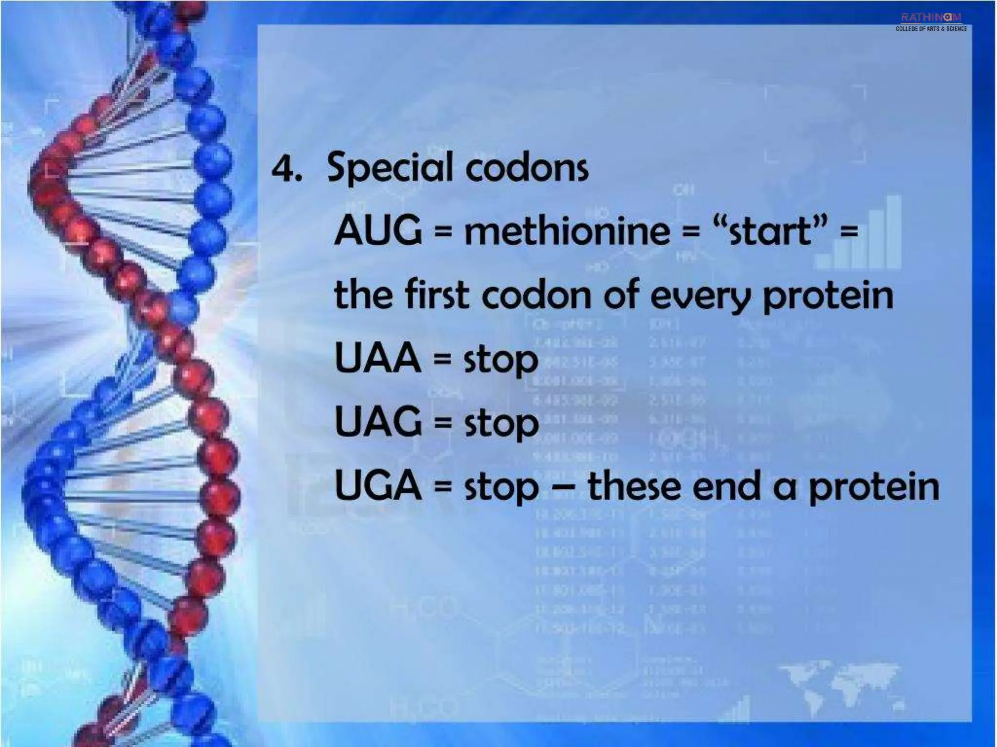 RNA Types and Functions.pptx