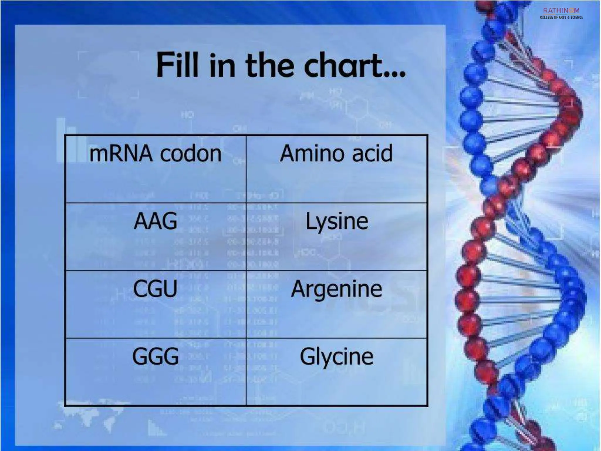 RNA Types and Functions.pptx
