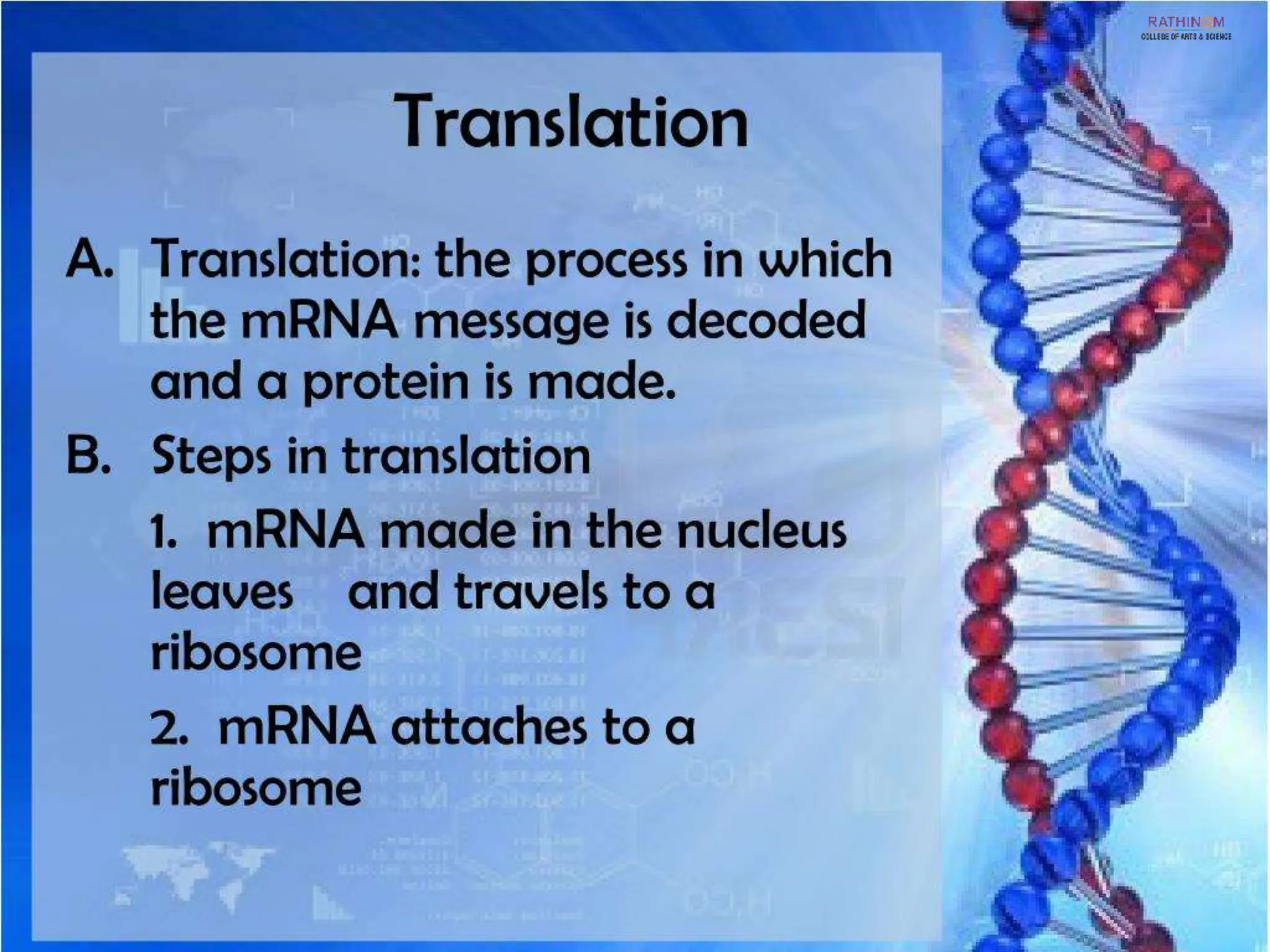 RNA Types and Functions.pptx