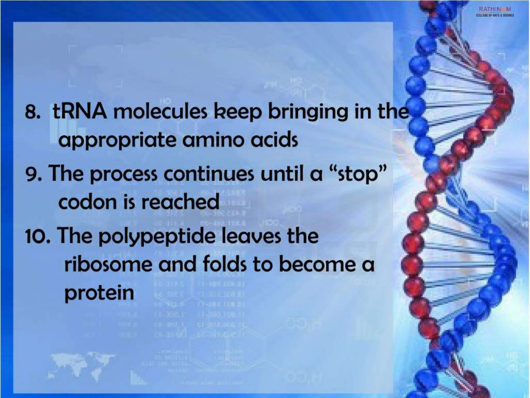 RNA Types and Functions.pptx