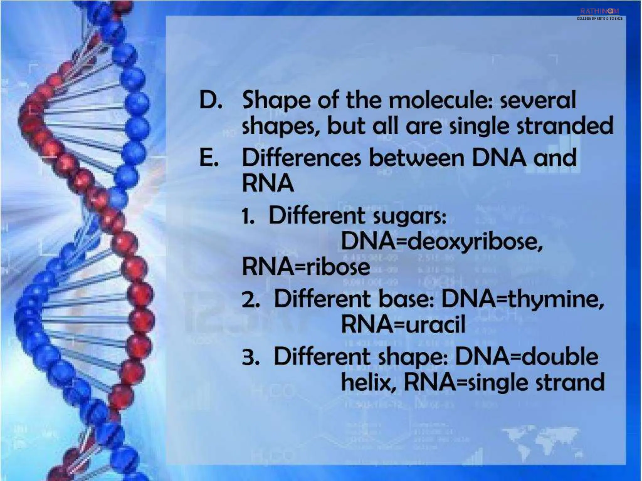 RNA Types and Functions.pptx