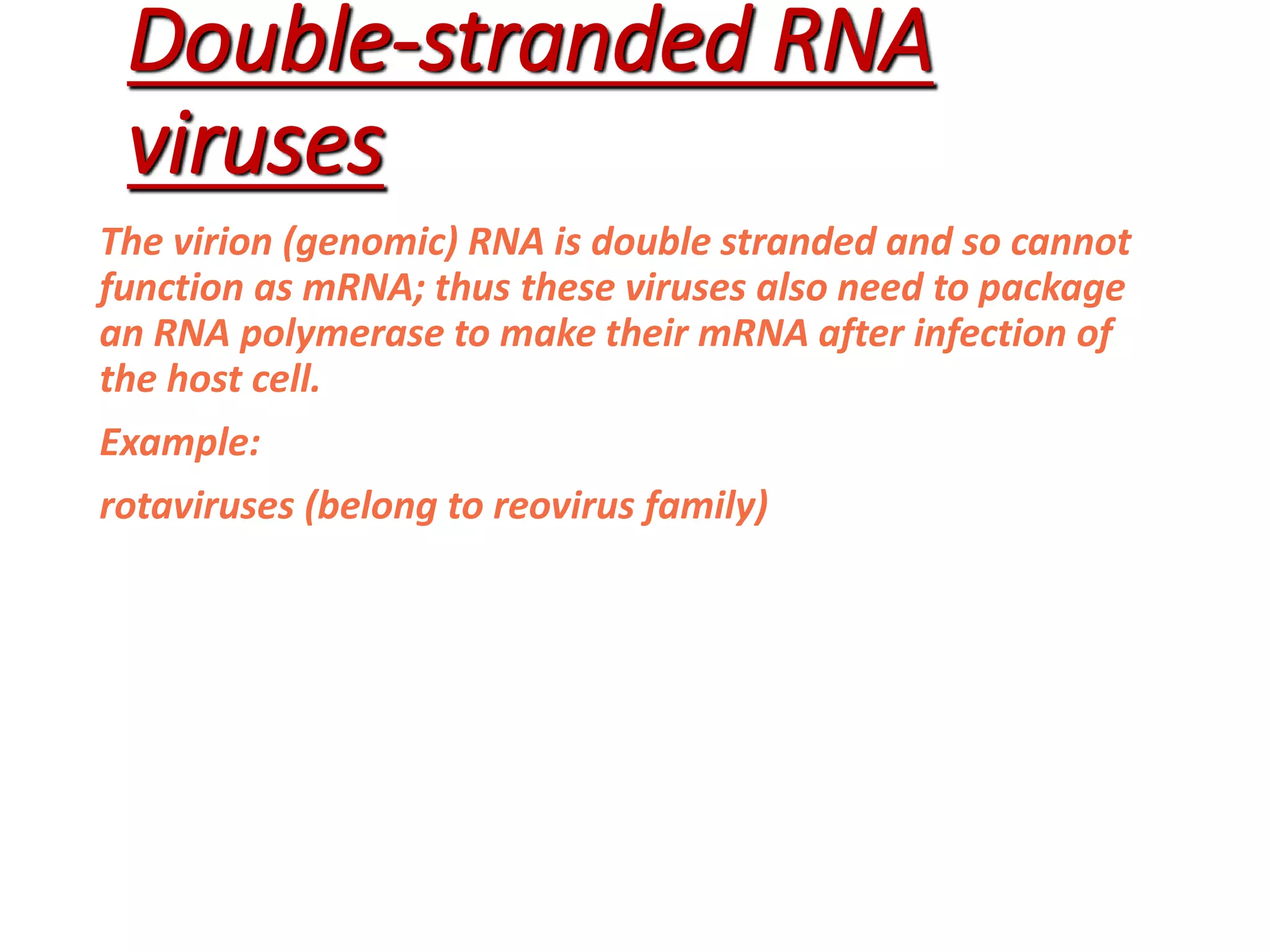 Rna virus-WPS Office-1.pptx