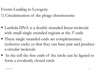 RNA_VIRUSES_(1)(1)[1].pptx
