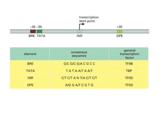 Rna y proteínas