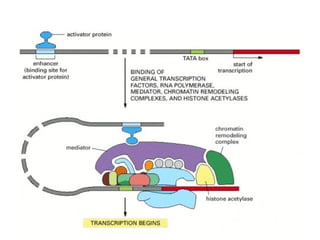 Rna y proteínas
