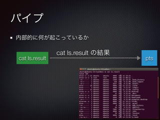 パイプ
内部的に何が起こっているか
ptscat ls.result
cat ls.result の結果
 