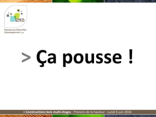> Ça pousse !
> Constructions bois multi-étages - Prenons de la hauteur - Lundi 6 juin 2016
 