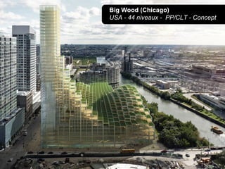 Big Wood (Chicago)
USA - 44 niveaux - PP/CLT - Concept
 