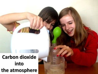 Carbon dioxide
into
the atmosphere
 