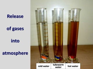 Release
of gases
into
atmosphere
cold water
lukewarm
water hot water
 