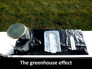 The greenhouse effect
 