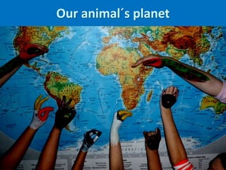 Our animal´s planet
 