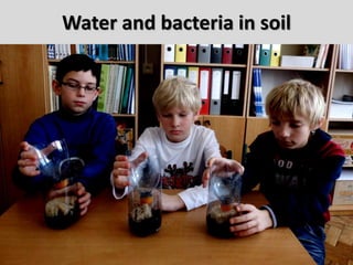 Water and bacteria in soil
 