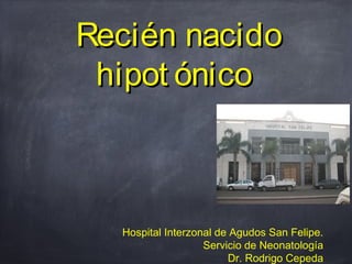 Recién nacido
 hipot ónico



  Hospital Interzonal de Agudos San Felipe.
                   Servicio de Neonatología
                        Dr. Rodrigo Cepeda
 