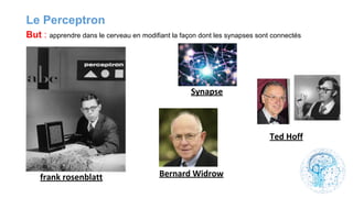 Le Perceptron
But : apprendre dans le cerveau en modifiant la façon dont les synapses sont connectés
 