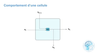 Comportement d’une cellule
 