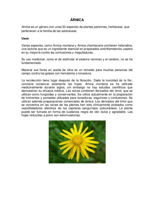 Arnica